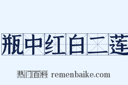 瓶中红白二莲是什么意思的图片